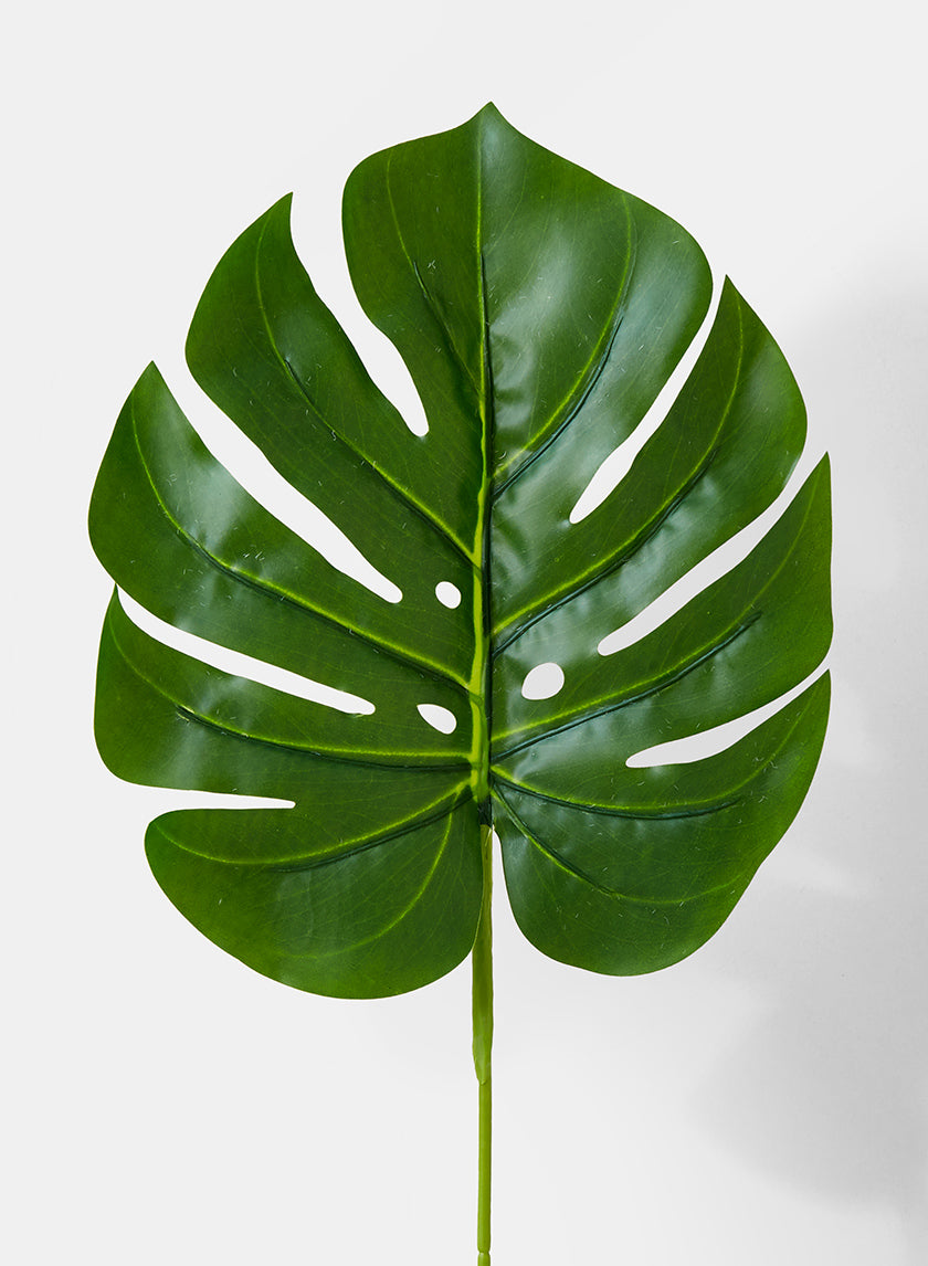 21in Long Small Artificial Split Philodendron Leaf, Case of 24 Decor Jamali Garden