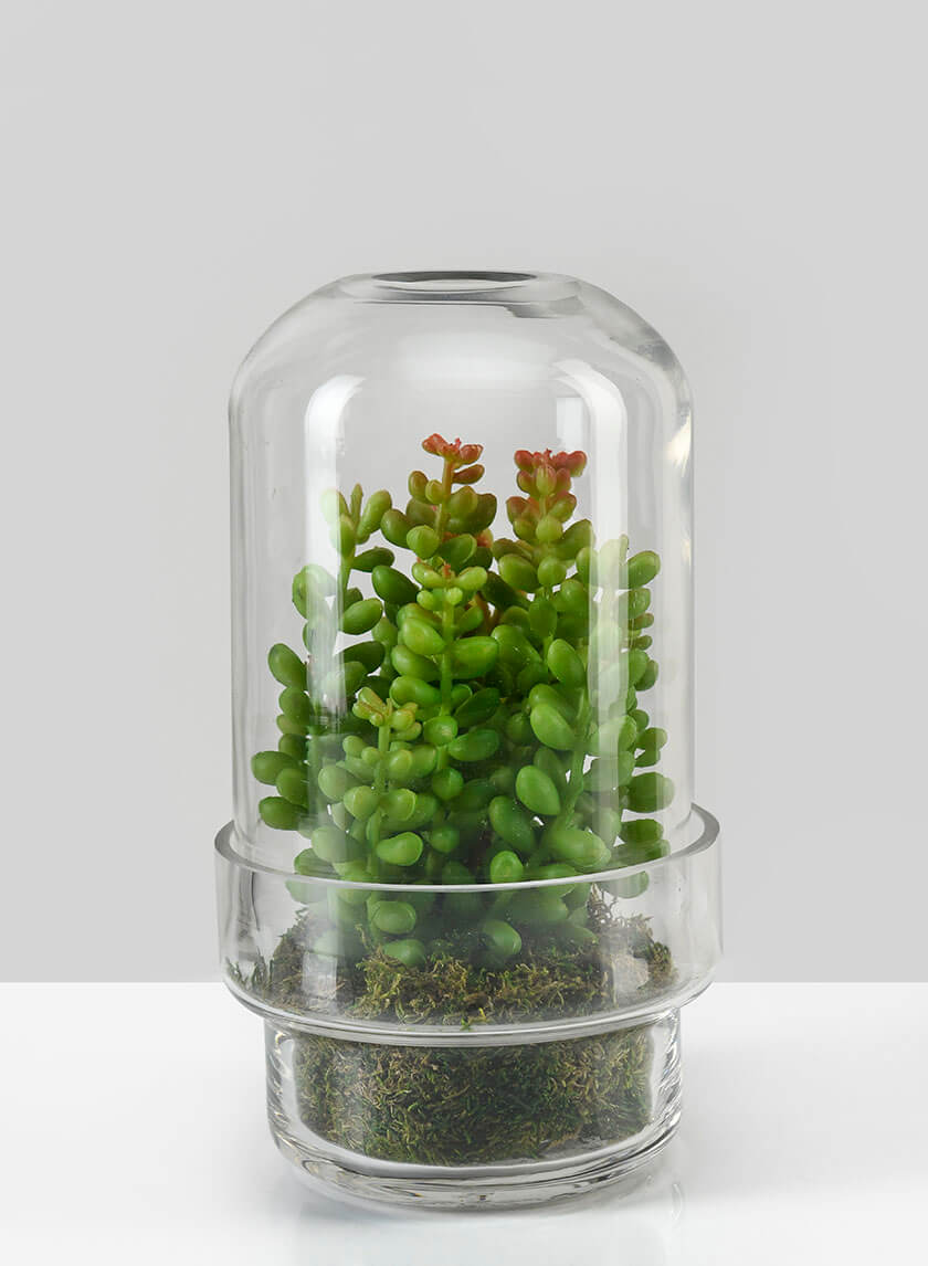 6.25in Tall Swazi Glass Terrarium, Small Decor Jamali Garden