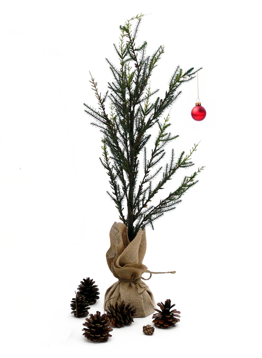 Pine Trees With Burlap Root Balls Decor Jamali Garden