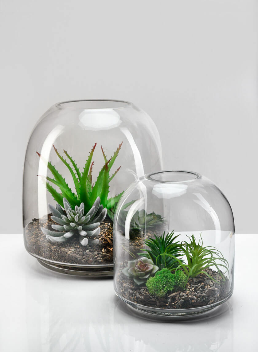 7.75in Tall Victoria Glass Terrarium, Small Decor Jamali Garden
