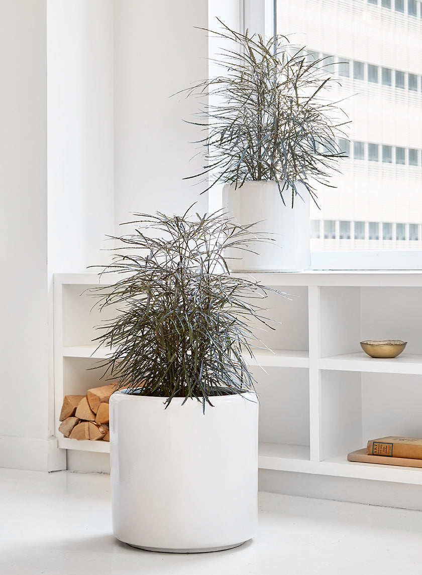 12in Tall Round White Glazed Light Ceramic Round Pot Decor Jamali Garden