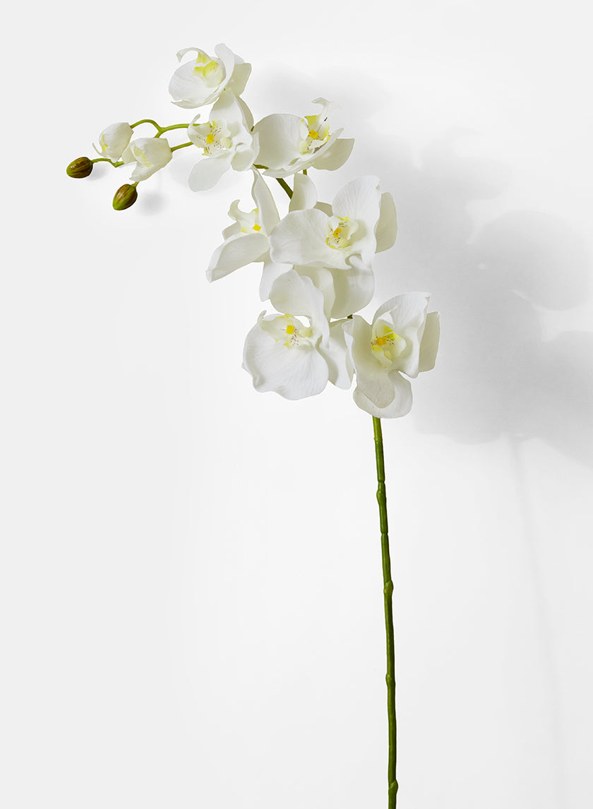 43in Long White Phalaenopsis Orchid Spray, Case of 12 Decor Jamali Garden