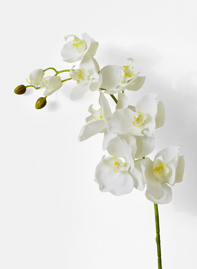 43in Long White Phalaenopsis Orchid Spray, Case of 12 Decor Jamali Garden