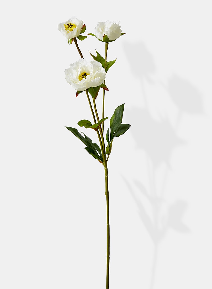 25.5in Long White Princess Peony, Case of 12 Decor Jamali Garden