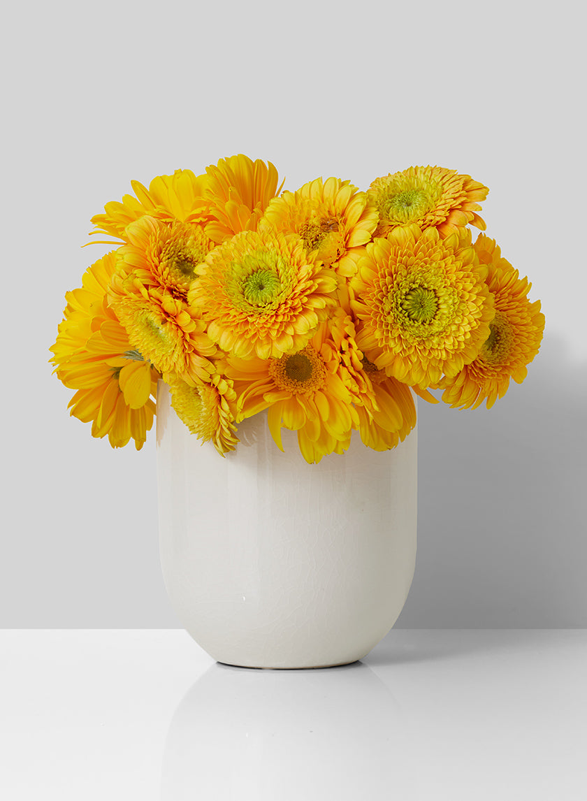 6in Tall Crackled White Ceramic Vase Decor Jamali Garden