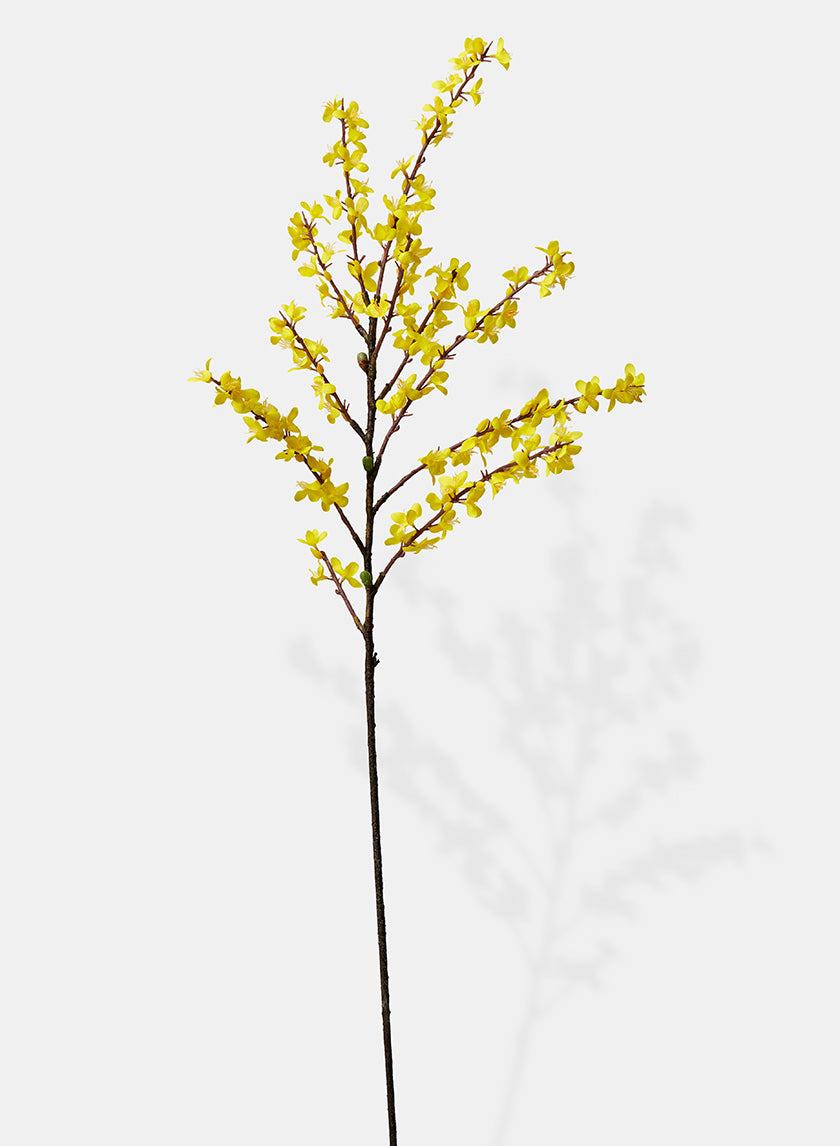 43in Long Winter Jasmine, Case of 12 Decor Jamali Garden