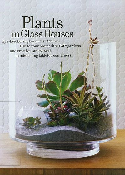 7. Plants in glass houses.
