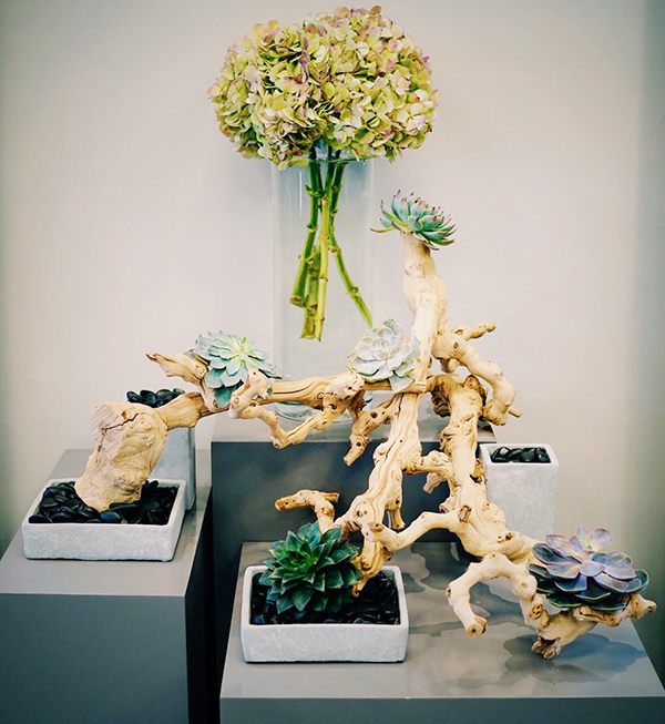 Hydrangeas and succulents mix with driftwood and river stones.