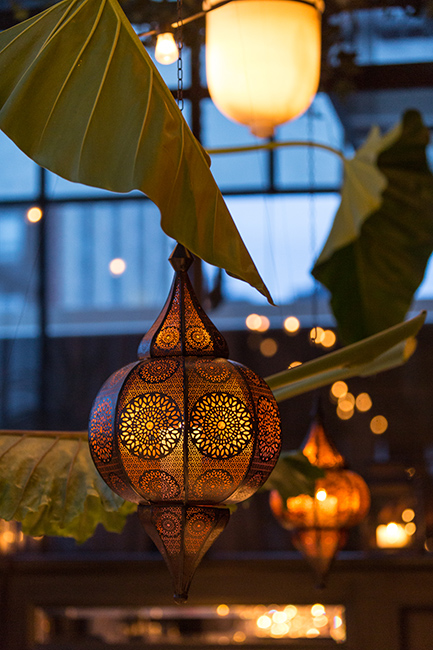 Lamps and the philodendron, suspended over the table.