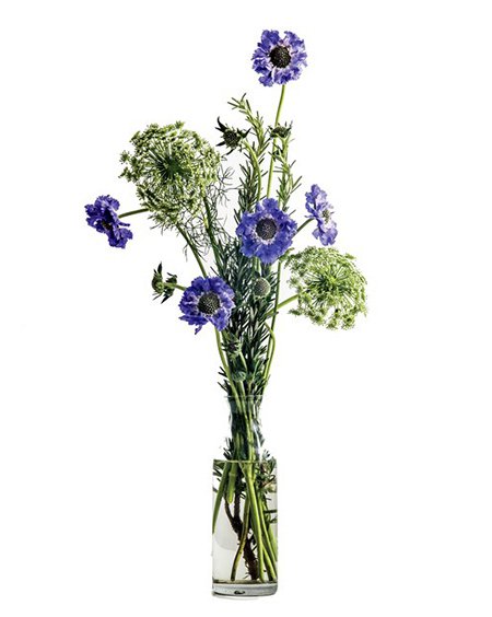 tall and tight bouquet of purply blue anemones and queen Anne's lace with rosemary in a bottle vase