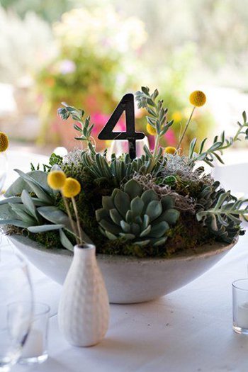 a bowl of succulents holds a table number with yellow billy buttons in bud vases around it