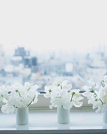 a trio short and small bunches of white sweet peas in tiny ceramic vases on a windowsill