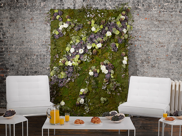 moss succulent backdrop wall