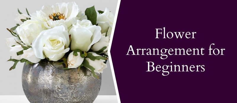 Flower Arrangements for Beginners