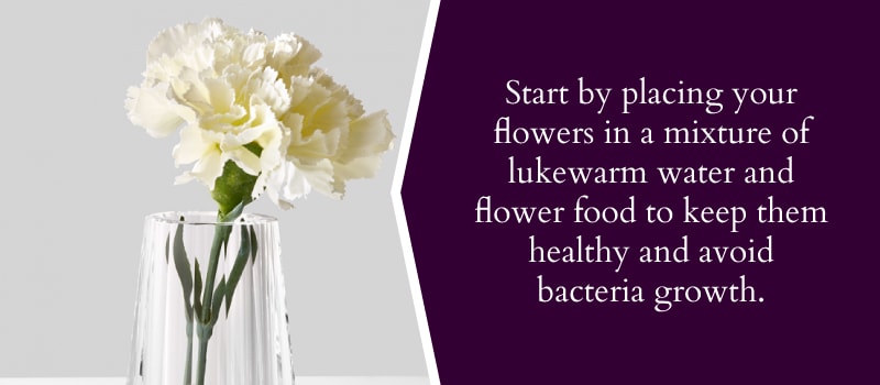 Keeping Wedding Flowers Healthy