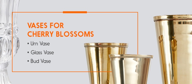 Vases for Cherry Blossoms