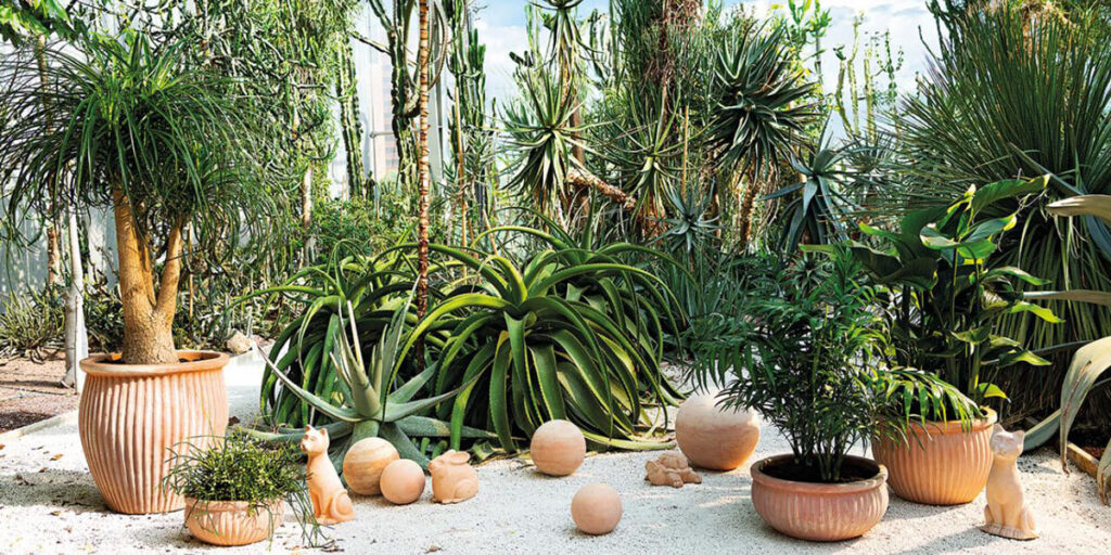 deroma terracotta pots and objects in agave and succulent garden