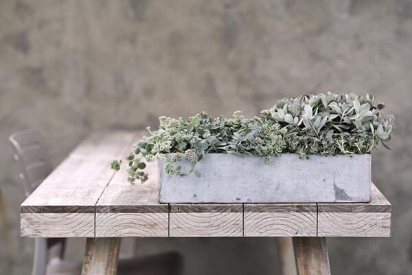 neutral terrace colors pale wood table gray planter box silvery herbs