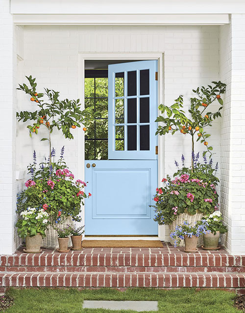 blue front door with plants on porch