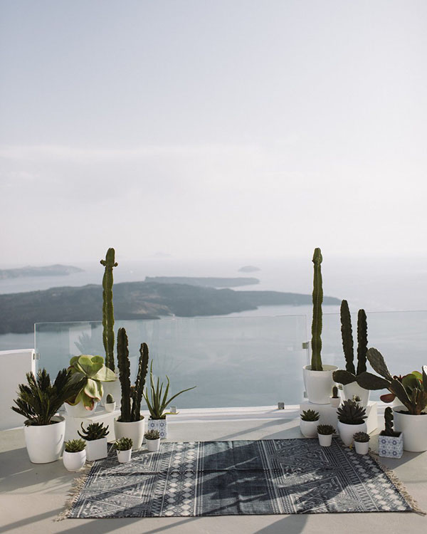 potted cacti and succulent in white pots as wedding ceremony decor