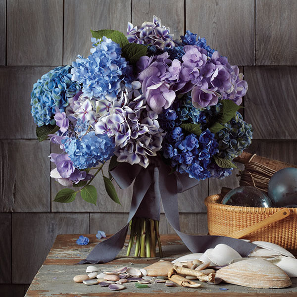 blue and lavender hydrangea wedding bouquet 