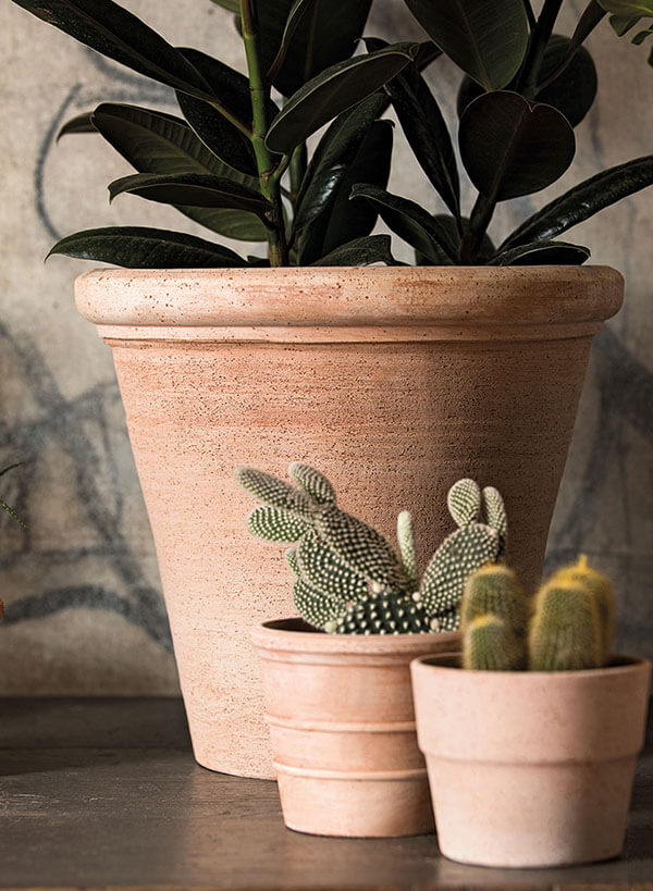  Deroma Siena terra-cotta planter and mini terra-cotta Siena pots with cacti