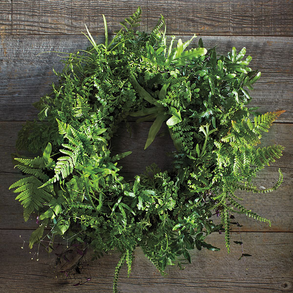 all green mixed fern wreath 