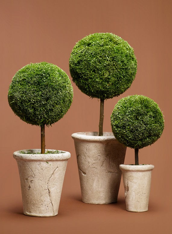 NBC Today Show November 2012