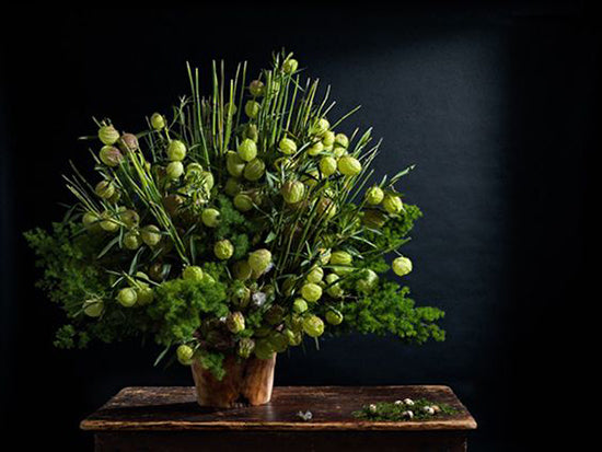 Horsetails-Popes-Balls-Fern