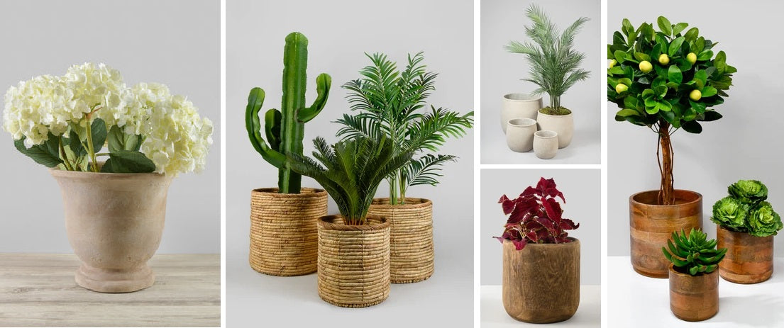 Best Planters 2026: Indoor, Outdoor & Wholesale Picks That Actually Last