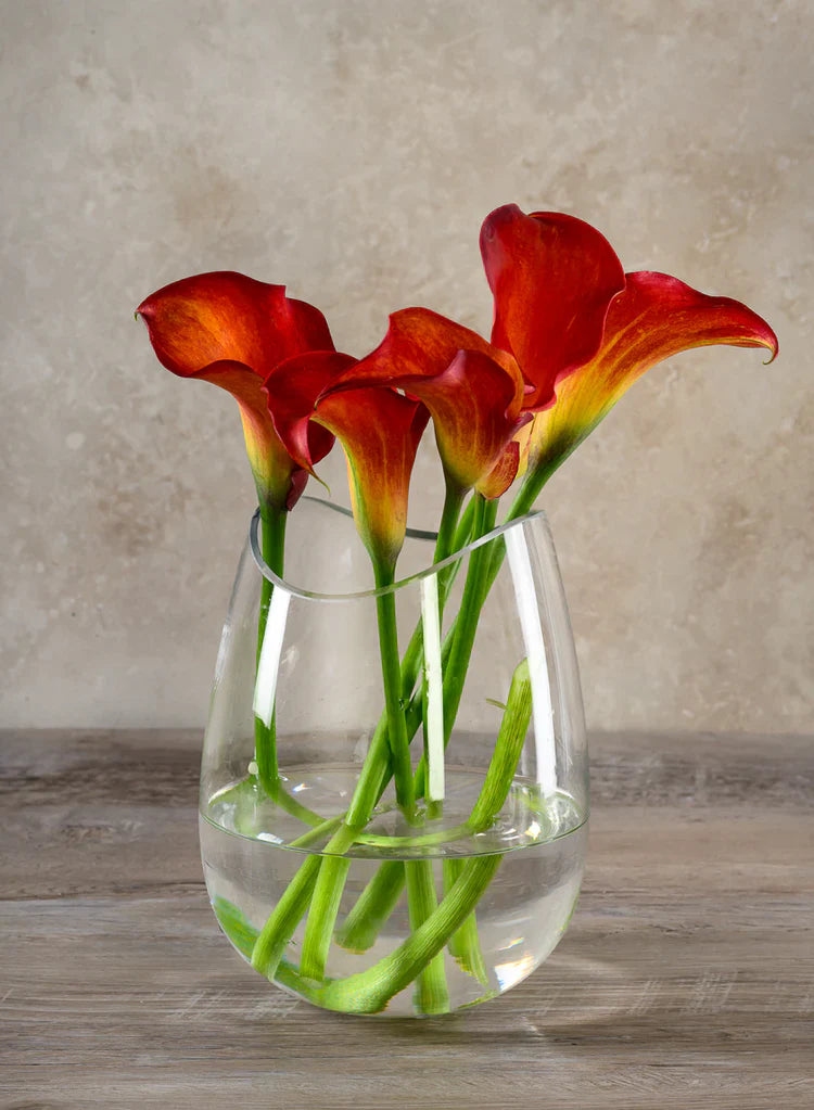A clear vase with water holds six vibrant orange-red calla lilies, set on a wooden surface against a neutral, textured background.