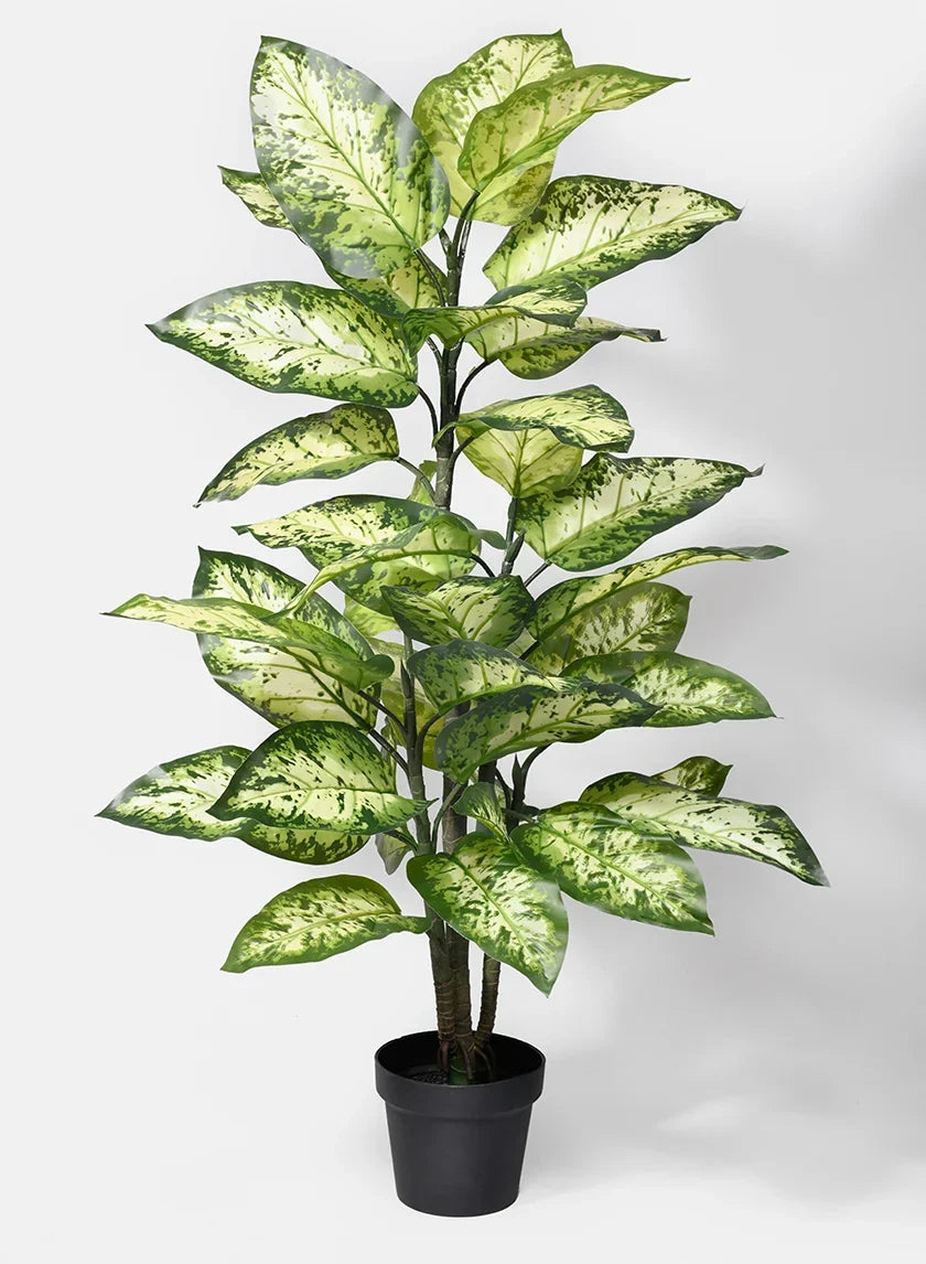 ALL PLANTS
