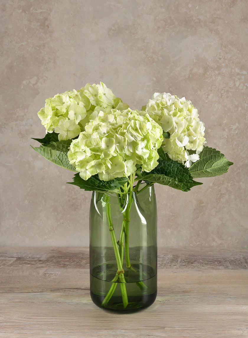 A green glass vase holds three pale green hydrangea blooms with large green leaves, set on a wooden surface against a neutral beige background.