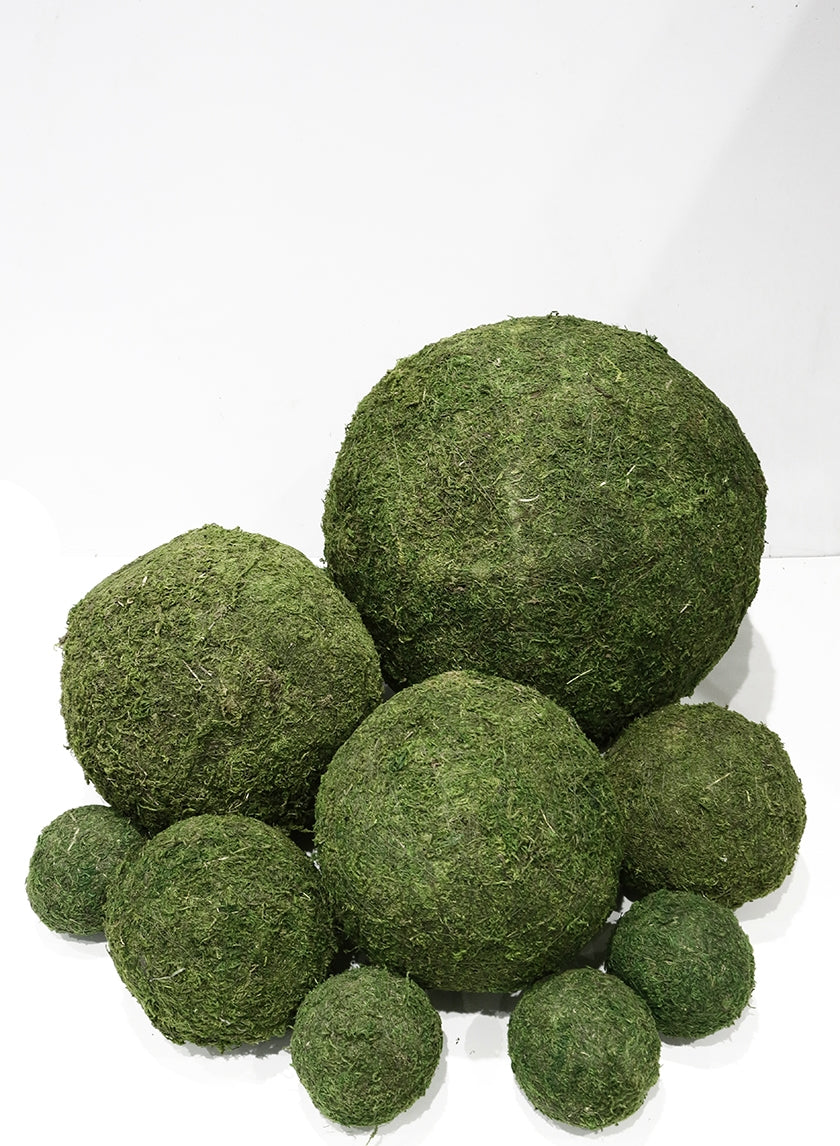 Several green moss-covered spheres of varying sizes are grouped together on a white surface with a white background.