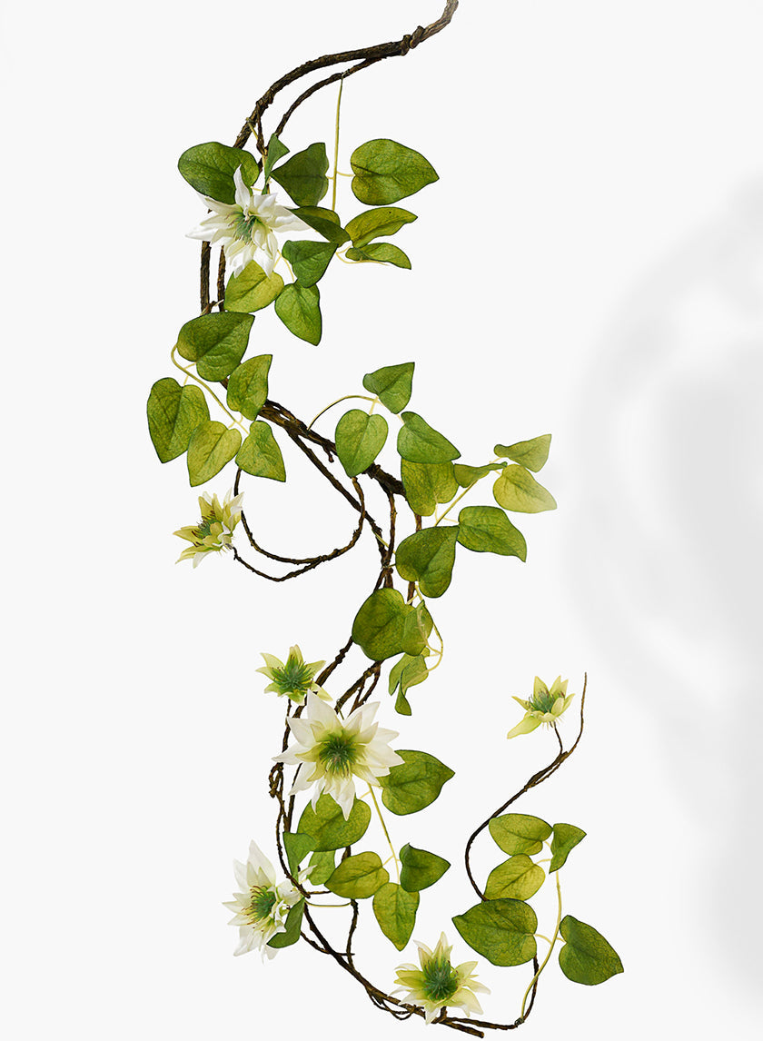 A twisting vine with green leaves and white flowers on thin brown stems, arranged vertically against a plain white background.