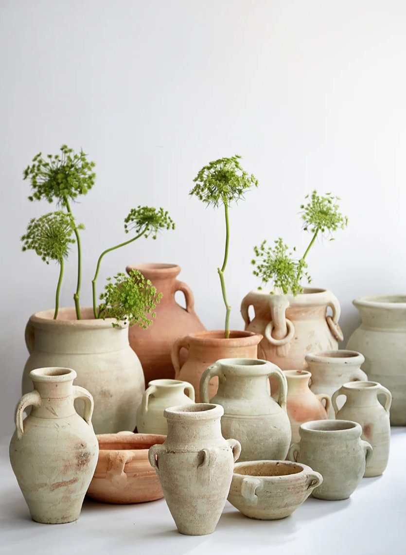 m&m x DAYZ Plant POT｜TYPE 1 Modern Sprout, Zinnia Dahlia Flower Grow Kit | Zola