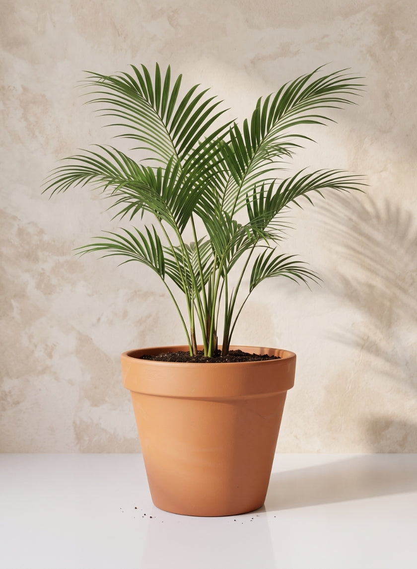 18in Tall Standard Clay Pot Decor Jamali Garden