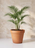 18in Tall Standard Clay Pot Decor Jamali Garden