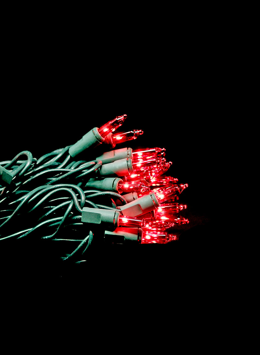 100 Super Bright Red Light Set on Green Wire Decor Jamali Garden