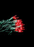 100 Super Bright Red Light Set on Green Wire Decor Jamali Garden