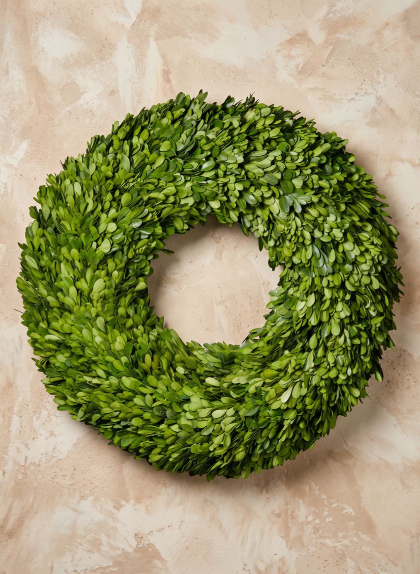 18in Wide Preserved Boxwood Wreath