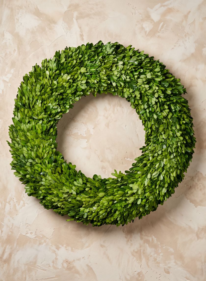 24in Wide Preserved Boxwood Wreath