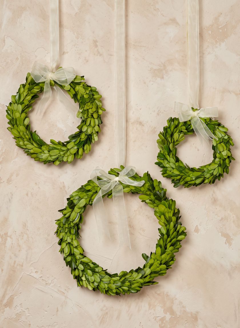 6in, 7 1/2in, and 10in Wide Ribbon Boxwood Wreath Set