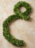 72in Long Preserved Boxwood Garland Decor Jamali Garden