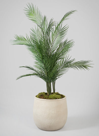 Jamali faux palm in a white textured pot