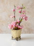 4in Tall Brass Polished Planter Urn Decor Jamali Garden