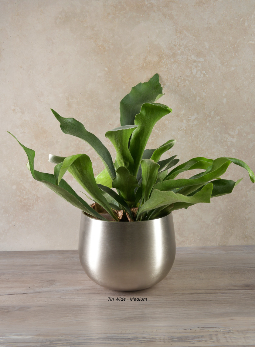 Araami Matte Silver Aluminium Bowl Decor Jamali Garden Silver 7in Wide - Medium EACH