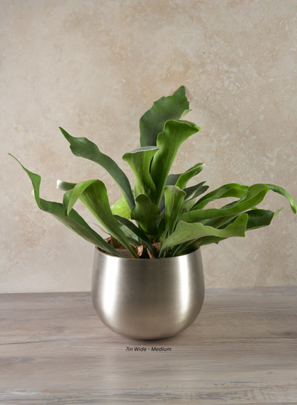 Araami Matte Silver Aluminium Bowl Decor Jamali Garden Silver 7in Wide - Medium EACH