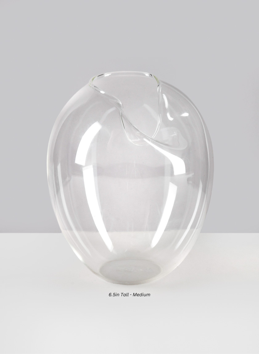 Imparfait Fishbowl Decor Jamali Garden Transparent 6.5in Tall - Medium EACH