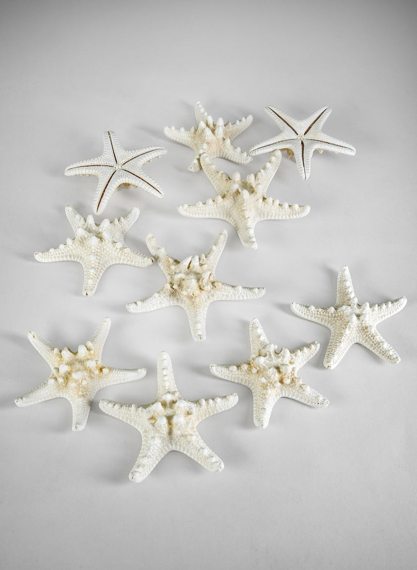 Knobby White Starfish, Set of 10 Decor Jamali Garden